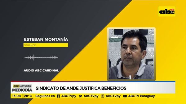 Sindicato de ANDE justifica beneficio - ABC Noticias - ABC Color