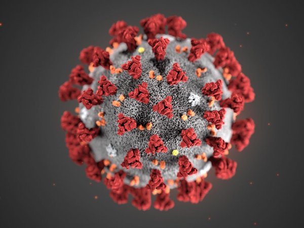 Brasil: Sube a 12 número de casos sospechosos del coronavirus 