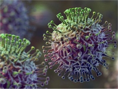 La influenza afectó aproximadamente a 15 millones de personas en EEUU