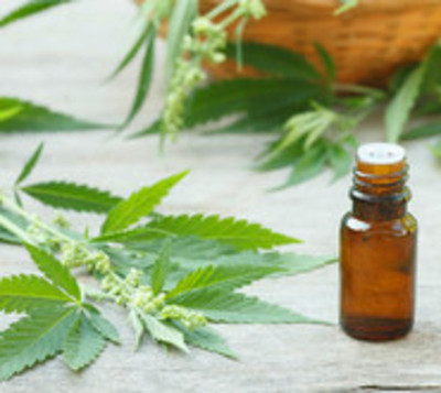 10 empresas tendrán licencia para producción de cannabis medicinal - Paraguay.com