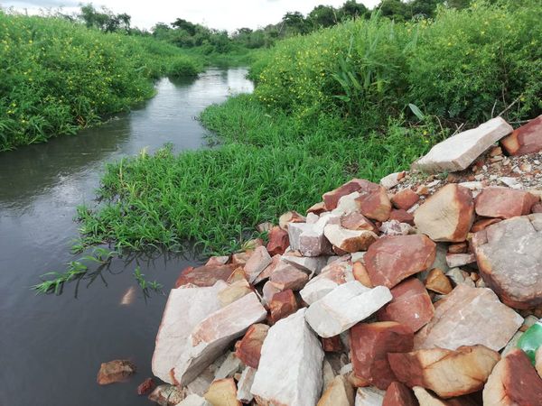 Fiscalía solicita informes sobre situación actual del Lago Ypacaraí