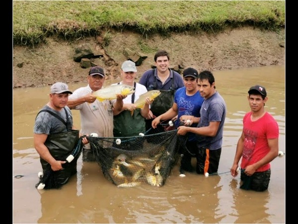 Yacyretá fomenta la piscicultura desde la estación de San Cosme y San Damián