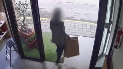 Robó 40 vibradores y los repartió a vecinas