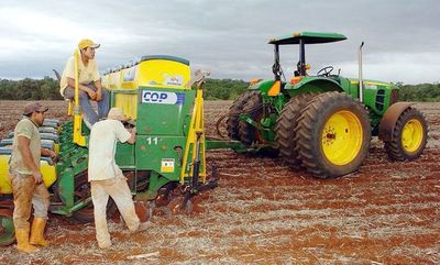 Indígenas logran 4.000 k/H de soja en P. Barra - Economía - ABC Color