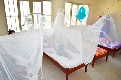 Dengue es de “evolución impredecible” por lo que insisten en evitar la automedicación - Nacionales - ABC Color