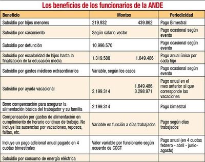 Consejo insiste a autoridades de entes en profundizar revisión de los beneficios - Economía - ABC Color