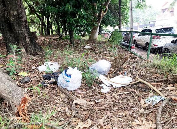 Piden limpiar Parque Carlos A. López luego de denuncias - Locales - ABC Color