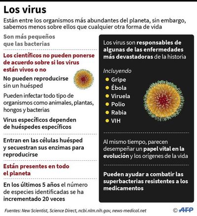 Primera muerte fuera de China por coronavirus - Internacionales - ABC Color