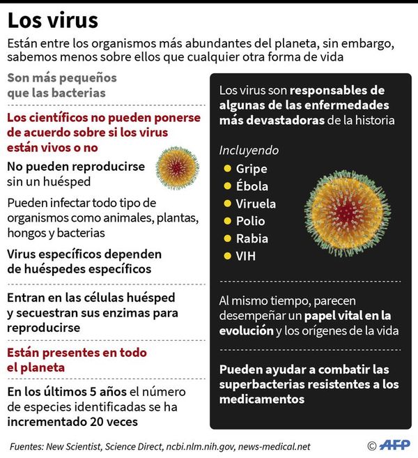 Primera muerte fuera de China por coronavirus - Internacionales - ABC Color
