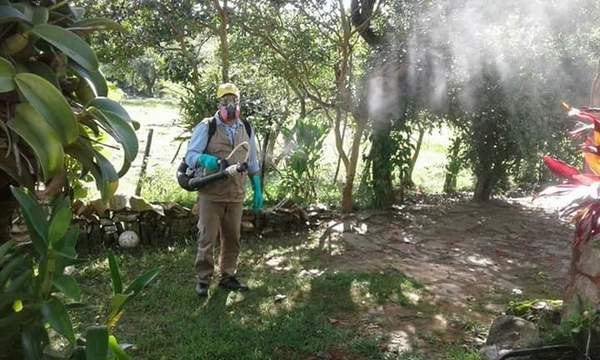 Senepa realiza fumigaciones en instituciones educativas del país | .::Agencia IP::.