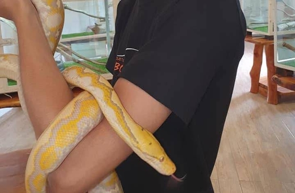 HOY / Serpiente muerde a niño en atracción de San Ber