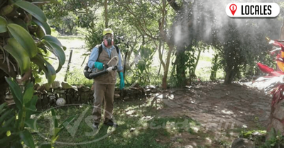 Senepa realiza fumigaciones en instituciones educativas del país