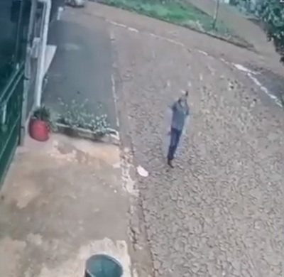 Comerciante envenena a perro de su vecino