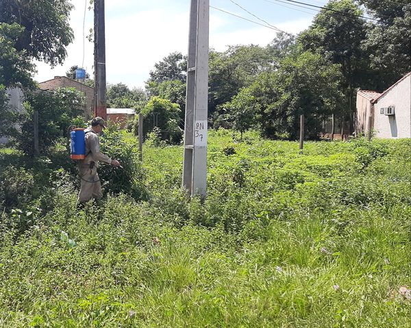 Declaran alerta naranja por dengue en zona sur de San Pedro