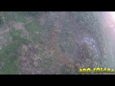 CONTINÚA LA CRIMINAL DEFORESTACIÓN EN LA RESERVA SAN RAFAEL