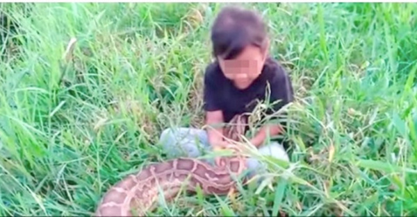 Niña se topa con feroz serpiente ha opuka hese
