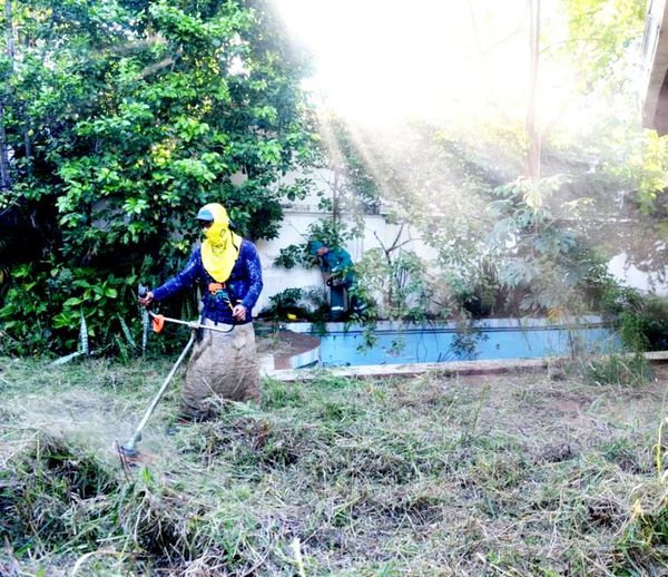 Intervienen casa y sacan 2 Ton. de basura - Locales - ABC Color