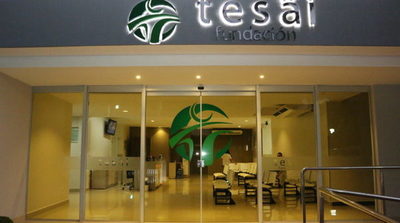 Tesãi a punto de paralizar servicios