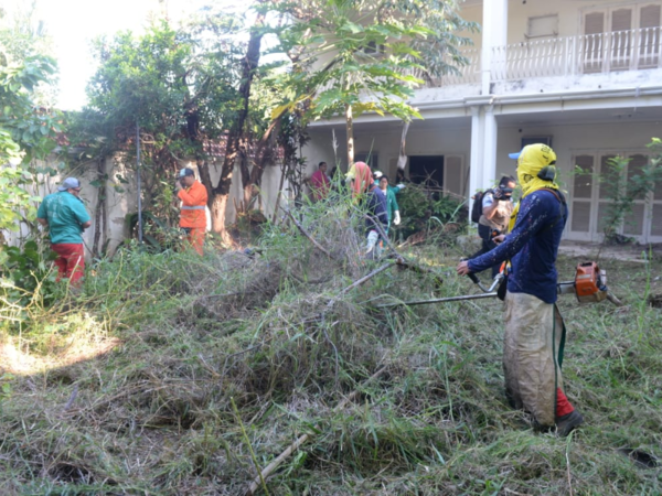Tolerancia cero para puercos en Asunción