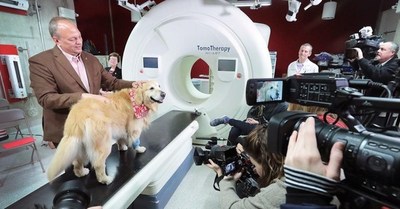 Un hombre pagó USD 6 millones para que un anuncio de que su perro superó el cáncer se transmita en el Super Bowl