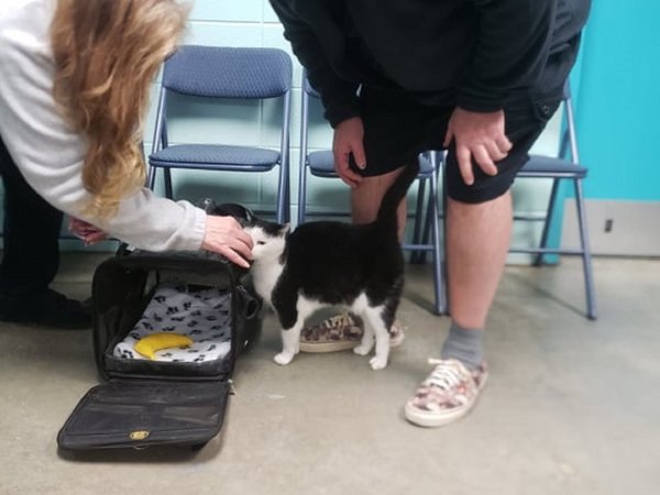 "La peor gata del mundo" ya tiene hogar