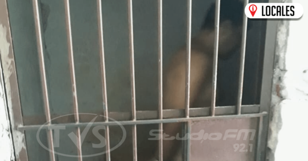 Por golpear a su pareja, hombre quedó tras las rejas