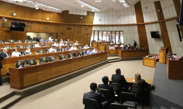 HOY / Ley de financiamiento: tras primer "round" perdido, van por revancha en el Senado