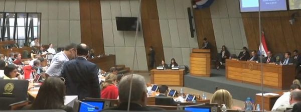 Cercenan idea original de proyecto de ley de Financiamiento Político | Noticias Paraguay