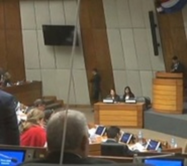 Sepultan idea original de proyecto de ley de Financiamiento Político - Paraguay.com