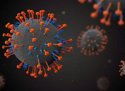 Por primera vez, prueban tratamiento para curar el Henipavirus en pacientes sanos » Ñanduti