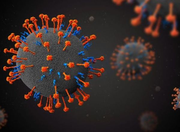 Por primera vez, prueban tratamiento para curar el Henipavirus en pacientes sanos » Ñanduti