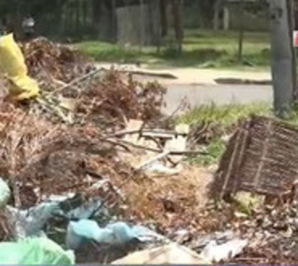 En plena epidemia del dengue: Basuras en las calles de MRA - Paraguay.com