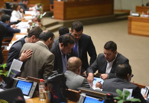 Oñandu hikuái “igraveitereíha” ko léi DD.JJ. omonéîva umi Diputado - ABC Remiandu - ABC Color