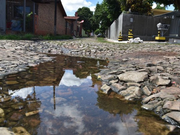 Caños rotos favorecen cría de larvas