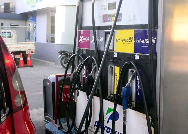 Nueva ley tributaria: precio del diésel no va a subir en 2020; la nafta sigue en duda - Nacionales - ABC Color