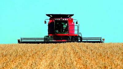 Caída en precios de la soja crea preocupación