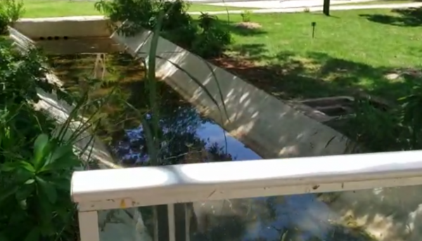 HOY / Criadero de mosquitos en el Parque Urbano de Asunción