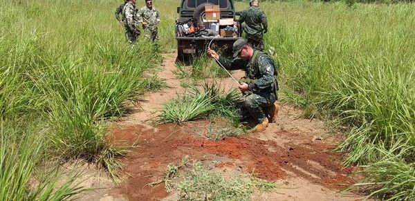 Destruyen pista clandestina ubicada en parque nacional Paso Bravo - Nacionales - ABC Color