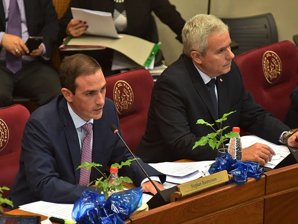 Pedirán sesión urgente del Senado para salvar la ley de financiamiento