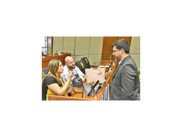 Villarejo votó por la transparencia de los recursos de campaña