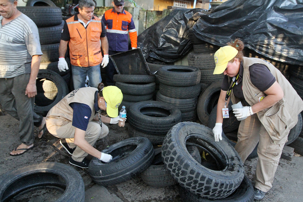 Solo 14  municipios presentaron  sus planes de contingencia ambiental para combatir el dengue | .::Agencia IP::.