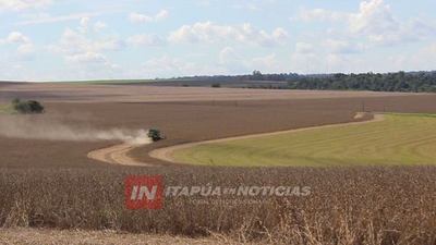 ZAFRA SOJERA LLEGA AL 60% DE COSECHA CON MUY BUENOS RINDES