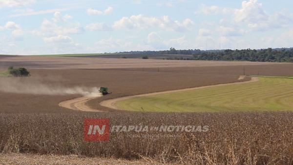 ZAFRA SOJERA LLEGA AL 60% DE COSECHA CON MUY BUENOS RINDES