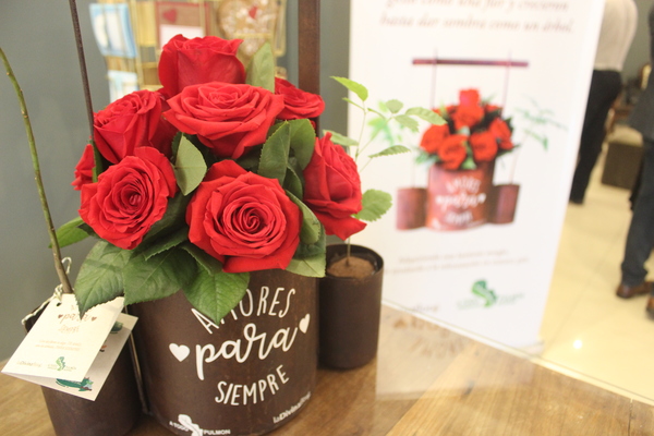 “De rosas, samu’u y lapacho” un original regalo por el Día de los Enamorados » Ñanduti