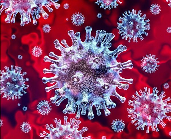 El brote del coronavirus pone a prueba cuán dependiente de China es el mundo