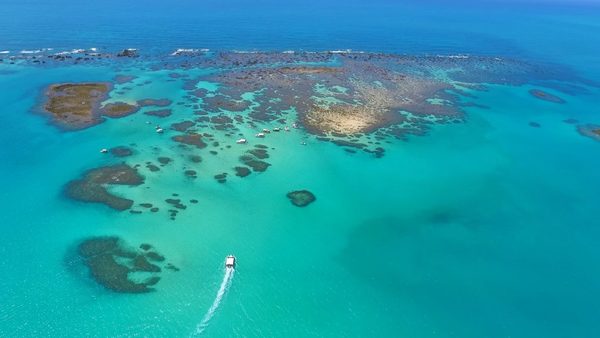 El caribe brasileño a unos kilómetros