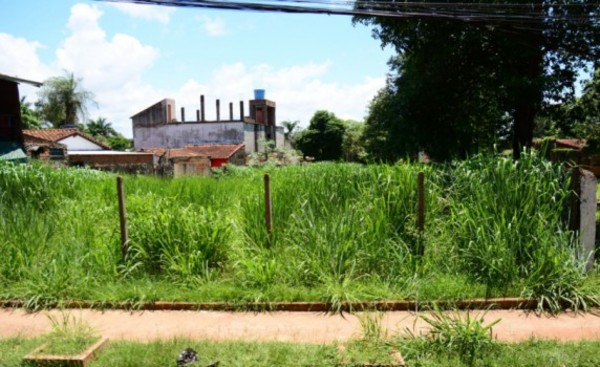 Comuna esteña empezará a multar a los "puercos"