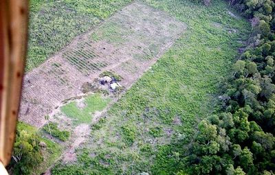 Denuncian depredación de la Reserva San  Rafael - Interior - ABC Color