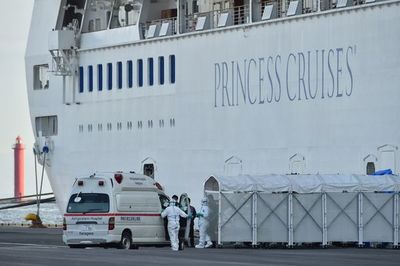 Un pasajero argentino del crucero en Japón da positivo al nuevo coronavirus - Mundo - ABC Color