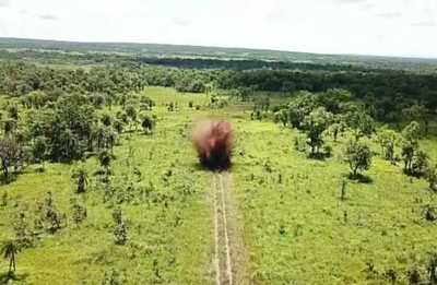 Destruyen pistas clandestinas en parque nacional | Radio Regional 660 AM